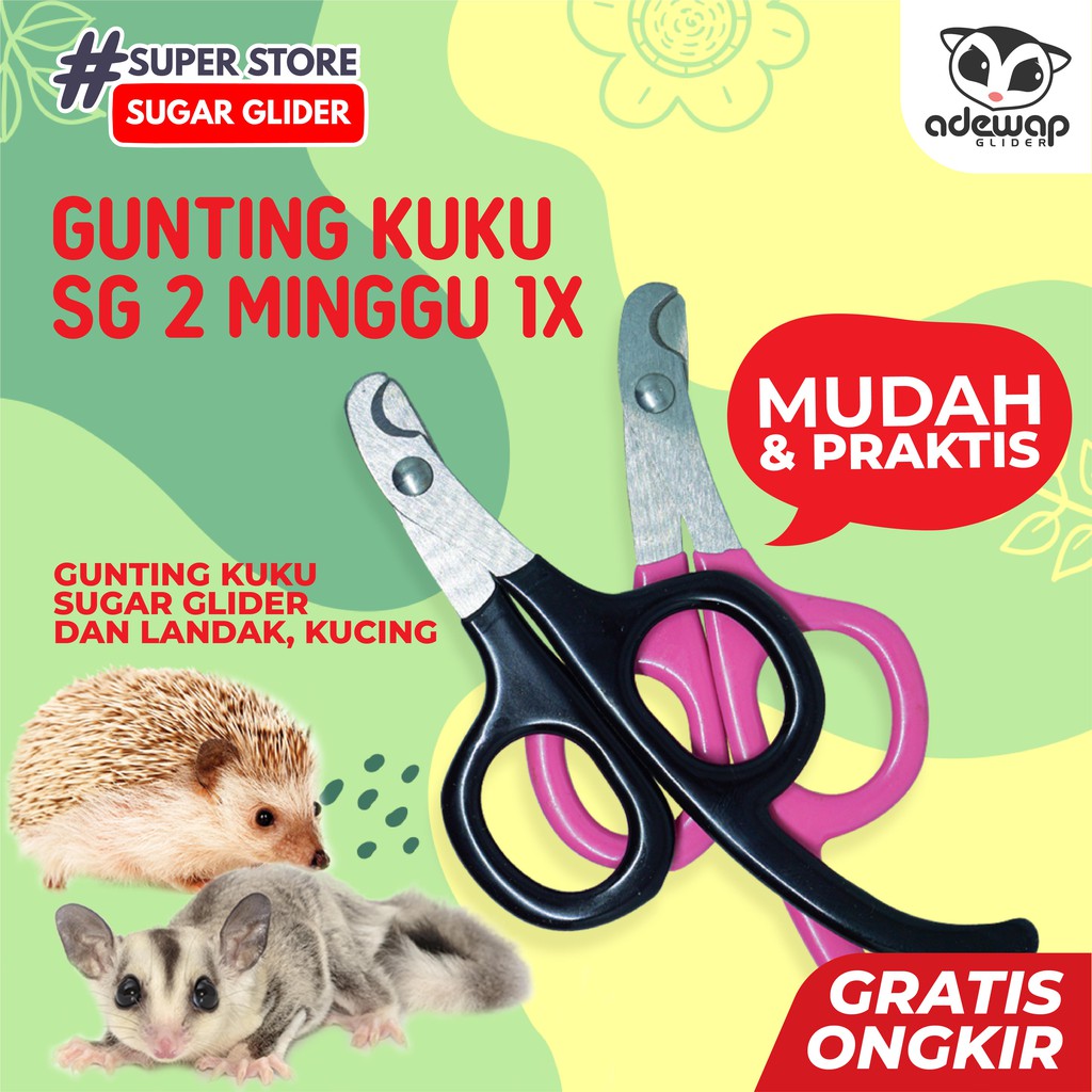 ADEWAP GLIDER Gunting Kuku Hewan Nail Clippers Trimmer Sugar Glider