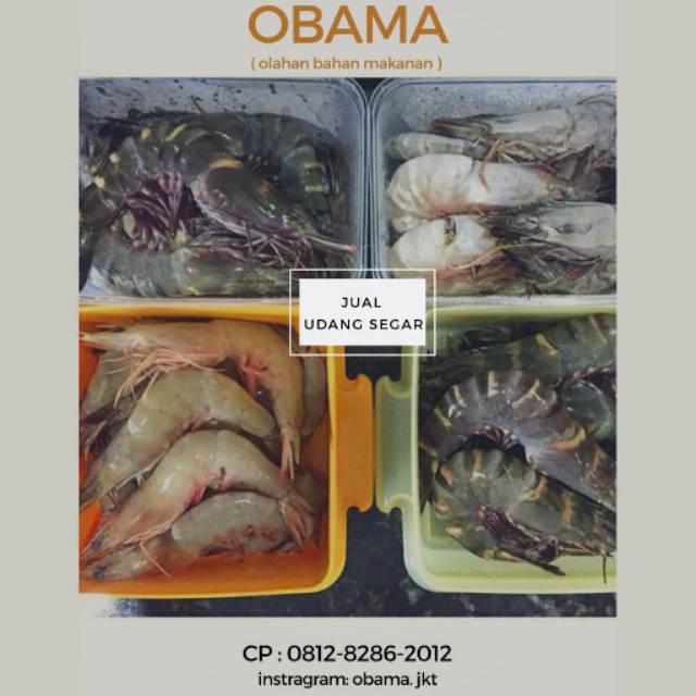 

UDANG SEGAR
