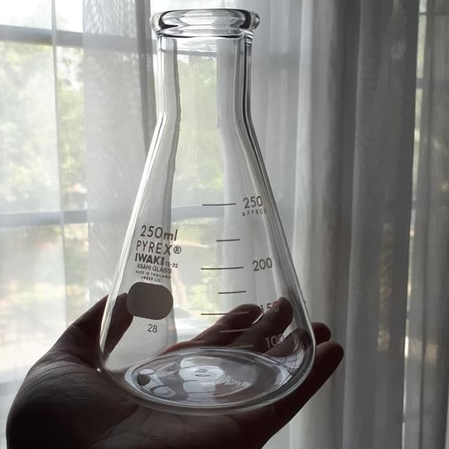 Gratis Ongkir Erlenmeyer Flask Iwaki Pyrex 250 ml Jakarta