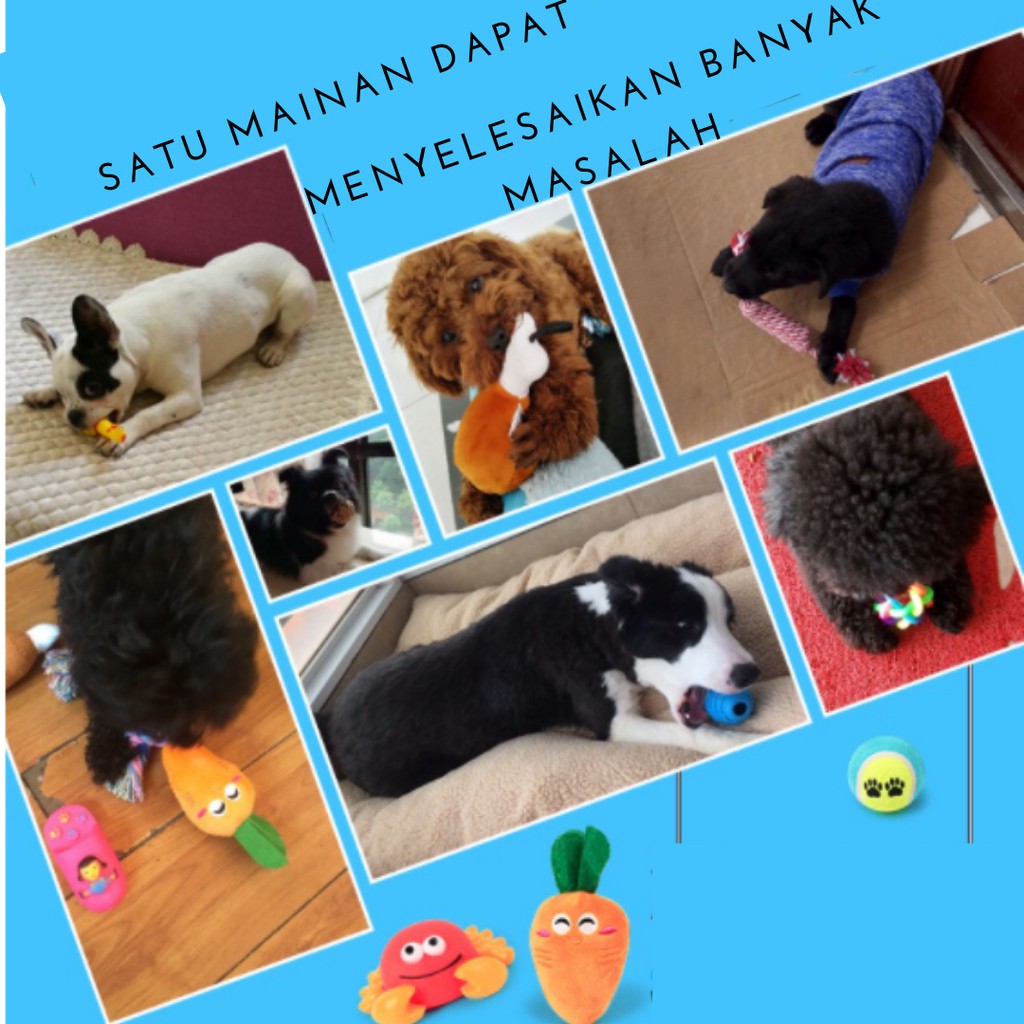 Mainan Gigit Kunyah Bahan Karet Untuk Anjing / Pet Chew Plush Toy Bentuk Kacang Polong Bahan TPR