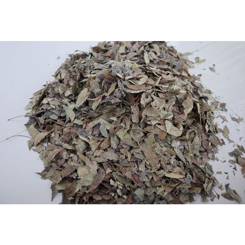 

Herbal daun mimba kering 250gr murah kualitas A