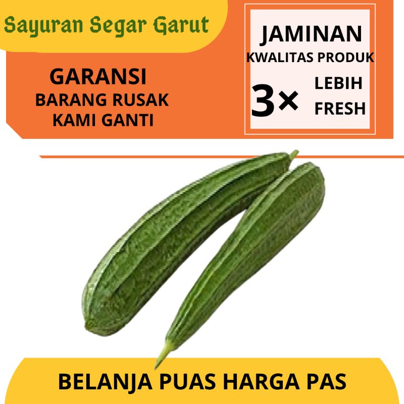 

Oyong Hijau Super Segar Fresh Murah 500gr by Sayuran Segar Garut