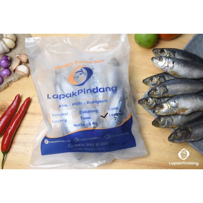 

Frozen ikan Sardinela / Lemuru segar