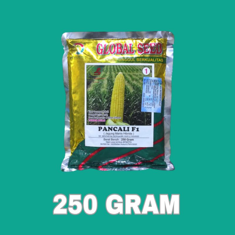 Benih Jagung Manis Unggul PANCALI F1 - 250 Gram Global Seed