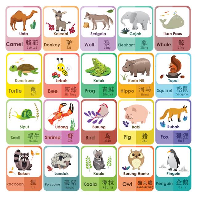 Flashcard Pengenalan Nama Hewan 3 Bahasa Kartu Pintar Anak Kartu Belajar Inggris Mandarin Shopee Indonesia