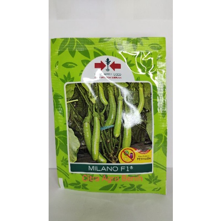 Benih Terong Hijau Milano 1100 Butir