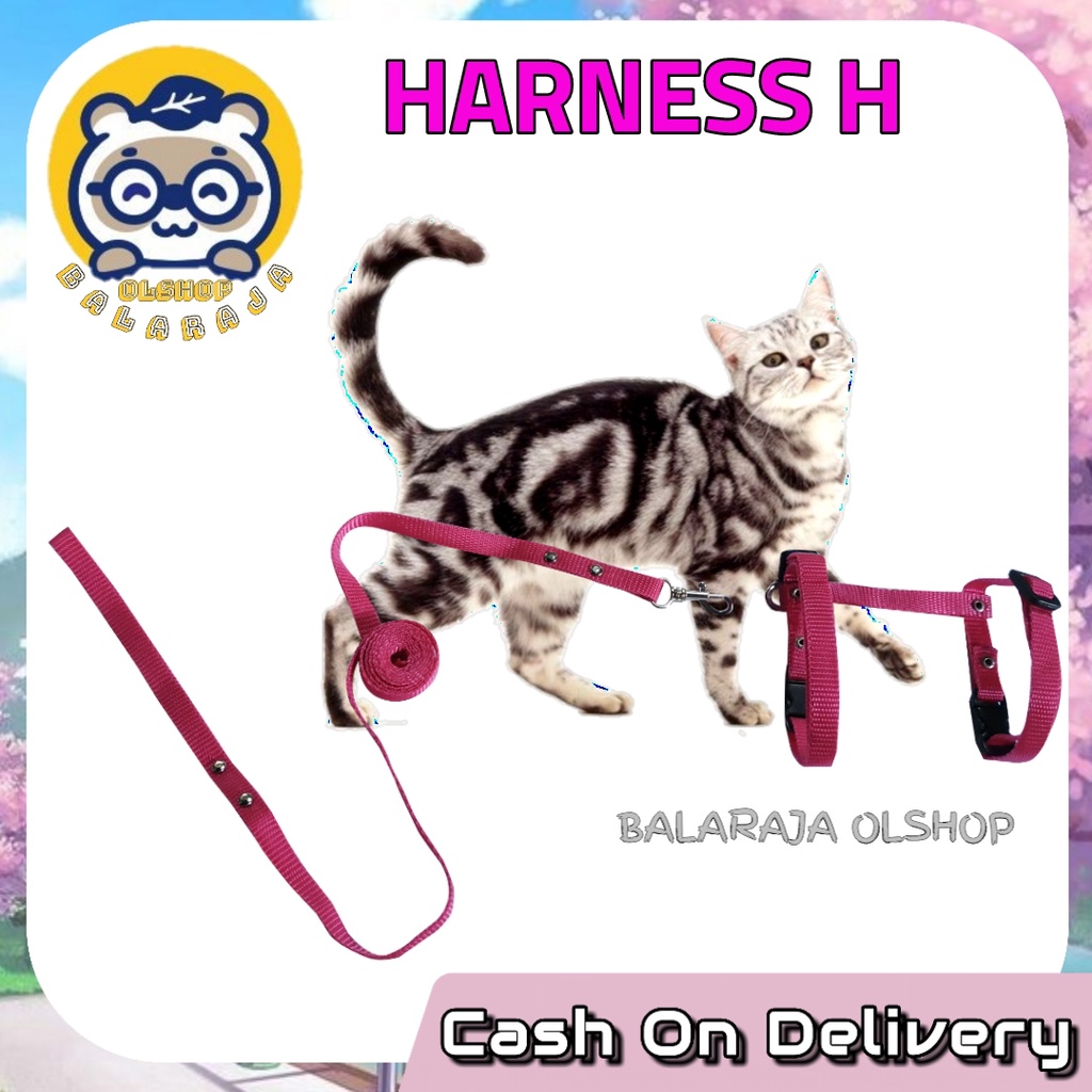 Harnes H + Tali Tuntun 1 Set Model H Polos Kucing Kiten Kelinci Musang Anjing Kecil Ready Semua Warna