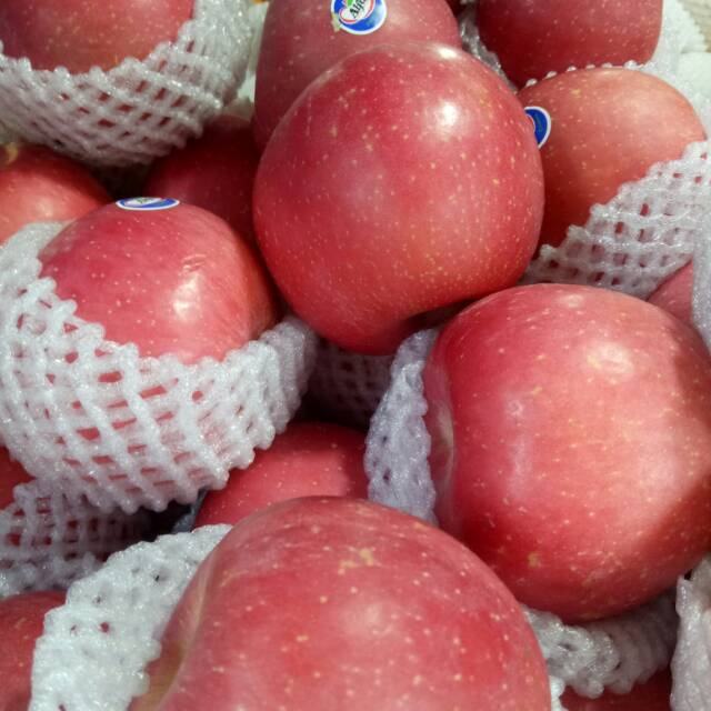

Buah Apel Fuji Alfa