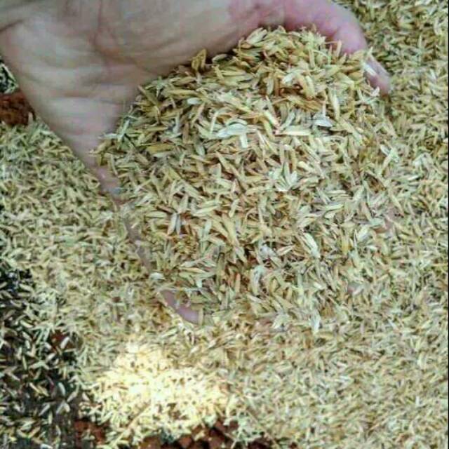 Sekam, sekam bakar 1kg