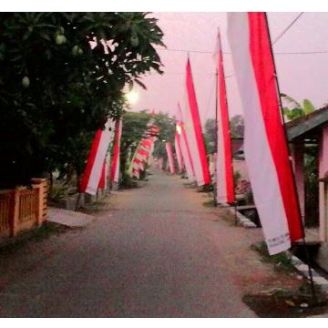 Bendera Umbul-Umbul Zigzag || Umbul-Umbul Agustusan Merah Putih 5 Meter || Bendera Garuda Warna