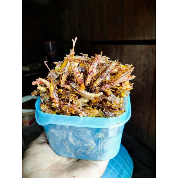 

BELALANG/WALANG GORENG UTIS EXTRA PEDAS