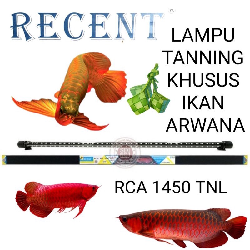 LAMPU TANNING AQUARIUM RCA 1450 TNL