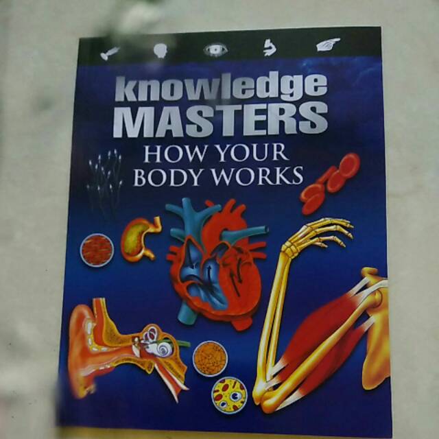 Buku anak import knowledge masters how your body works
