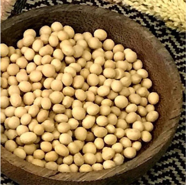 

Kacang kedelai organic 100 gr