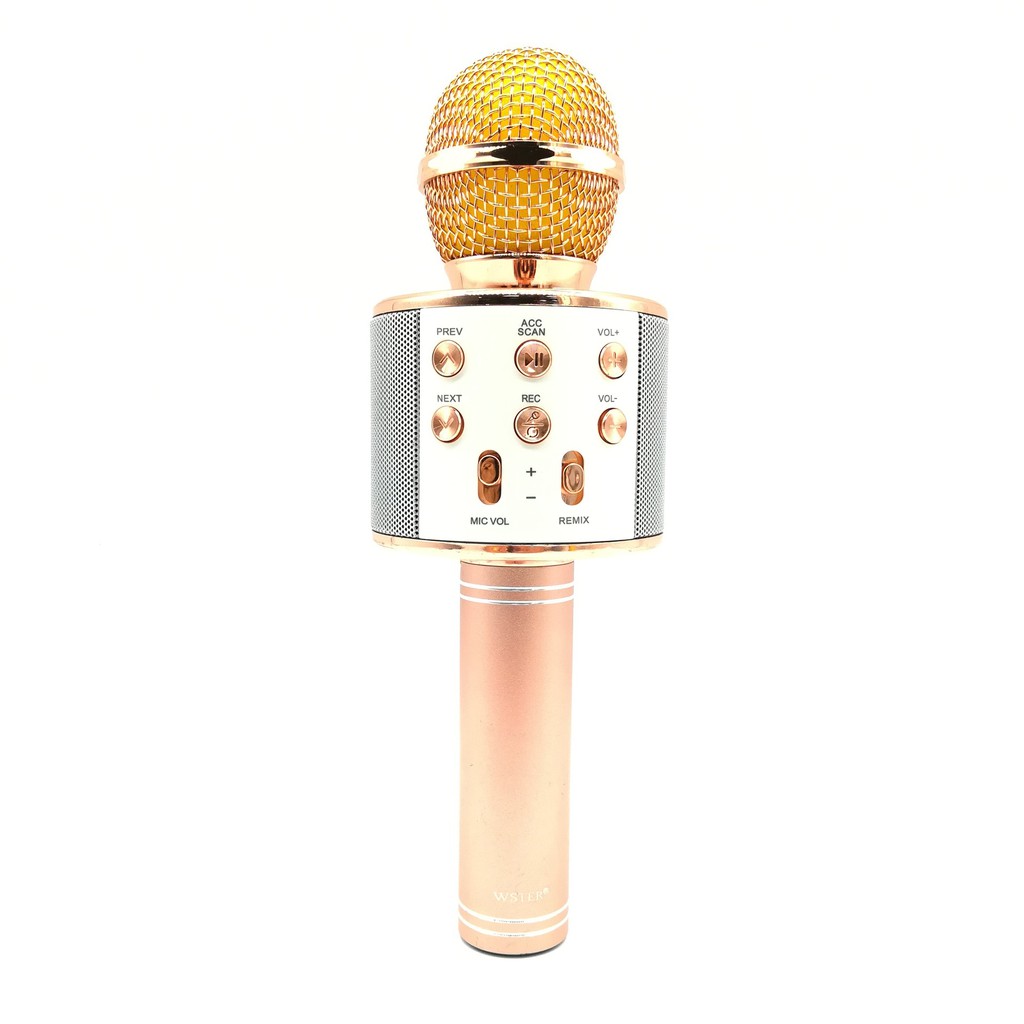 MIC WS-858 PORTABLE BLUETOOTH WIRELESS MICROPHONE SPEAKER