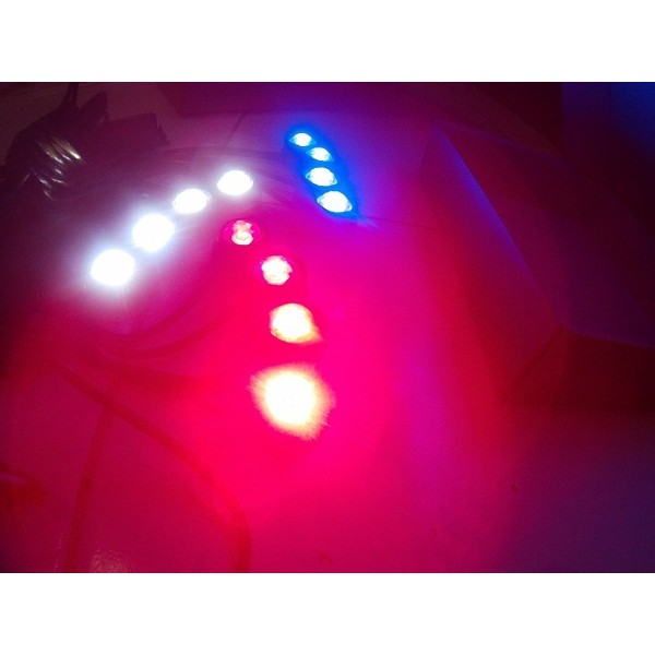 LED POLICE LAMP EAGLE EYE STROBO REMOT CONTROL BERKEDIP WARNA BIRU