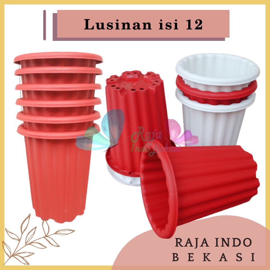 Lusinan 12pcs Pot Swiss 15 Putih Bening Transparan Hitam Merah Bata Merah Coklat Terracota Terracotta Mirip Lusinan Pot Yogap Ypt 10 13 15 Putih Coklat Merah Bata Bening Transparan Pot Yogap 17 18 19 Pot Yogap Murah Pot Bunga Tinggi Pirus Tegak Tebal