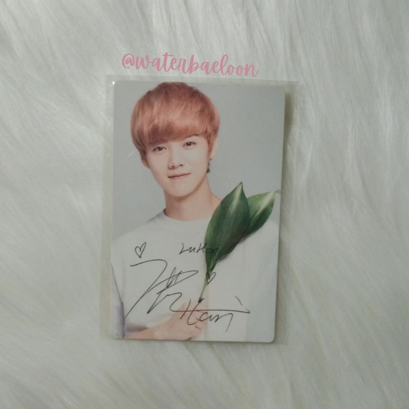 Luhan Official Nature Republic Photocard. EXO Luhan Chanyeol Suho.