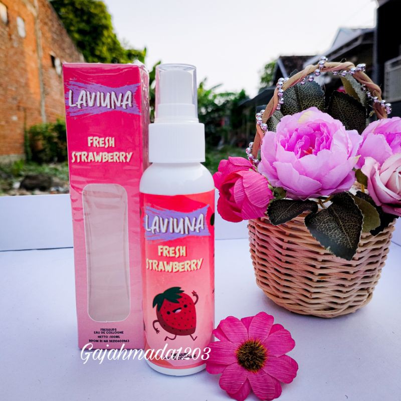 Parfum Strawberry Parfum Baju Laviuna 100ml Freshchubs