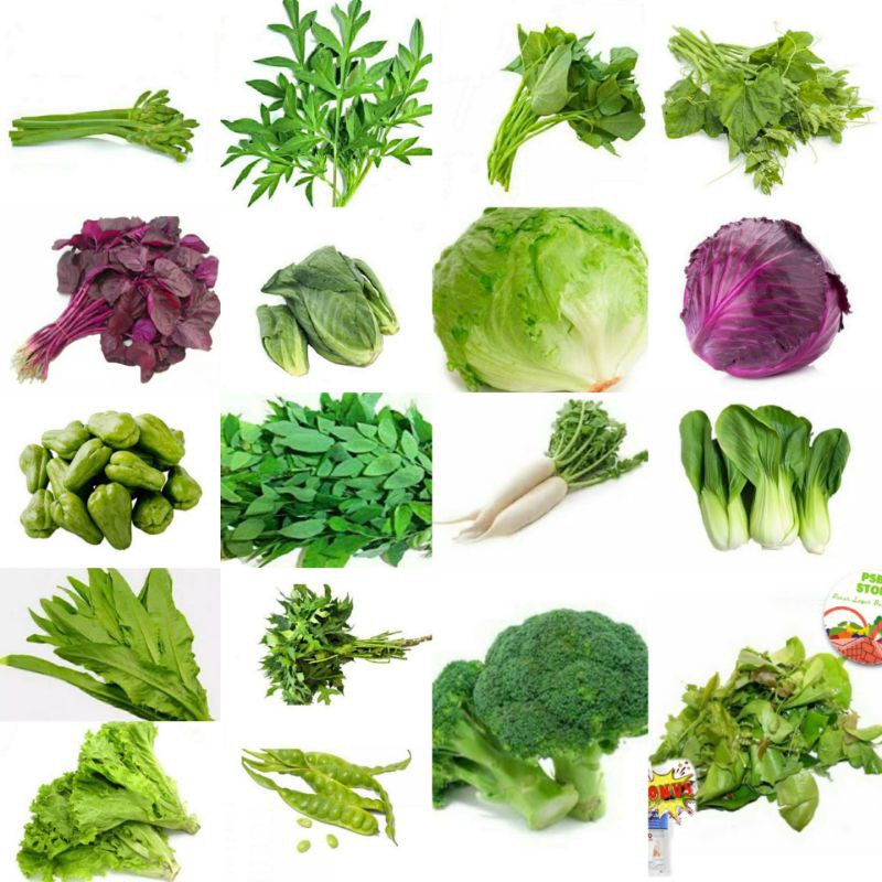 

PASAR GUBENG - Sayur Segar Pasar Online Sby