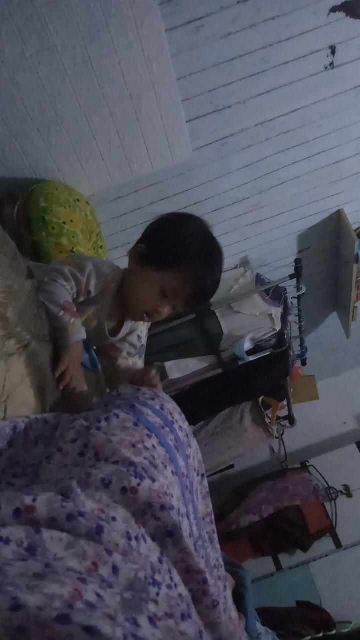 Teko Bersiul 3 Liter Summer / Whistling Kettle / Ceret Teko Masak Bunyi Siul