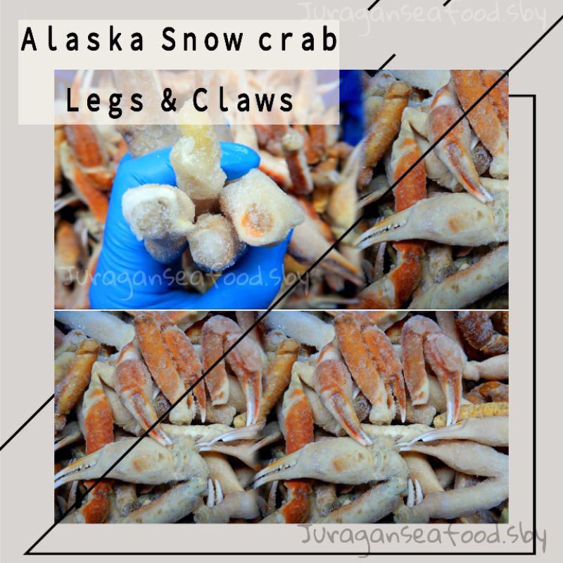 

Alaska snow crab