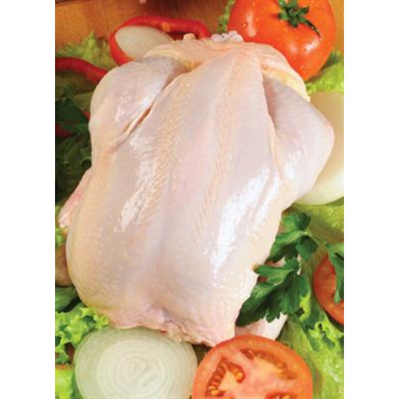 

Ayam Karkas Utuh Ukuran 0.9-1kl