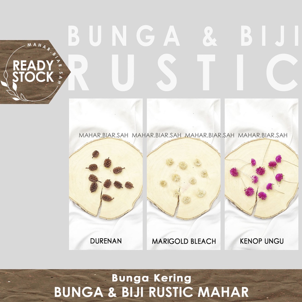 RS 10 Pcs Bunga & Biji Durenan / Cemara Laut / Marigold Bleach /  Kenop Ungu / Rustic Mahar / Bunga 