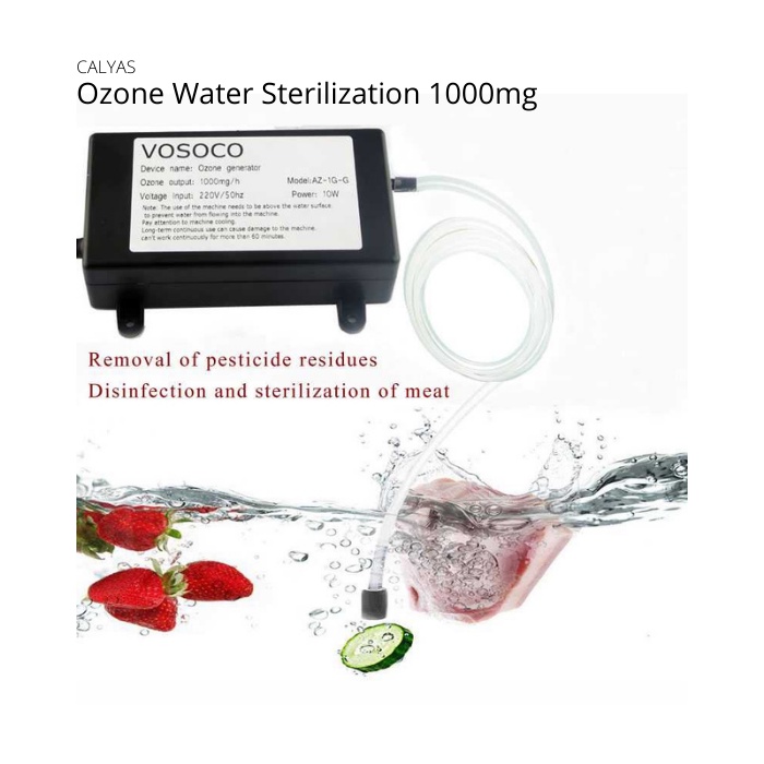 Mesin Ozone Ozon Generator Water Air Purifier Sterilizer 1000mg