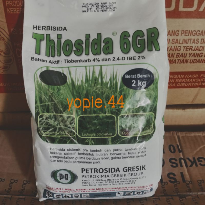obat rumput thiosida 6GR/herbisida tabur tanaman padi 2kg