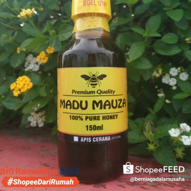 

Madu odeng madu hutan murni,,(madu apis dorsata) 100%murni