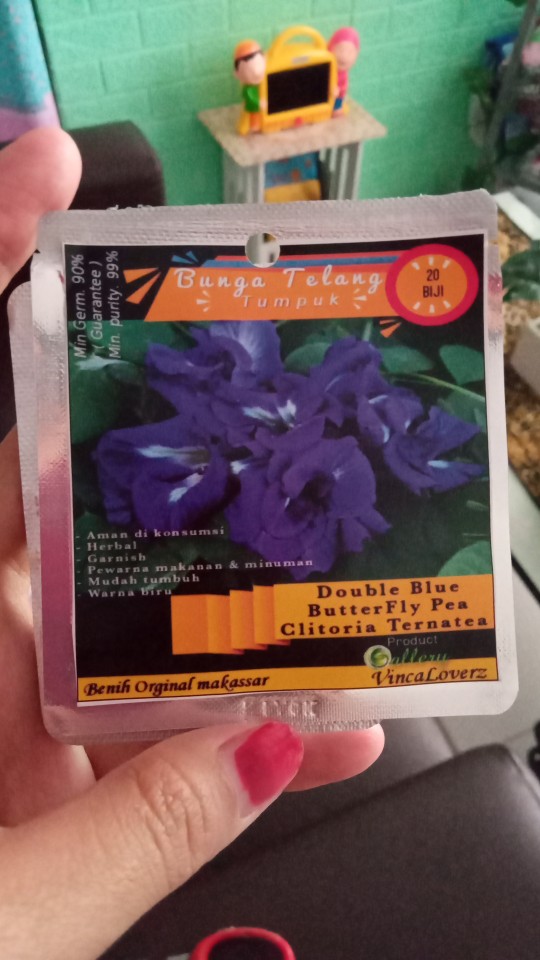 Benih Vinca Orchid Halo Tegak 10 Biji – Kemasan Foil