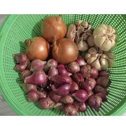 

Bawang 3 macam 1kg