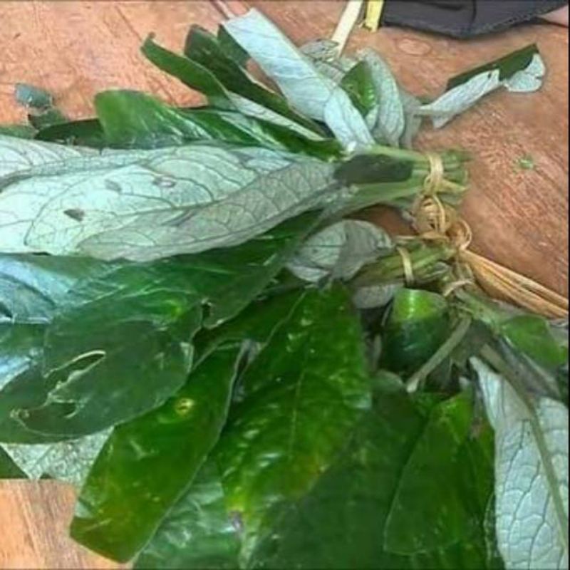 

ready daun reundue lalaban khas sunda rende
