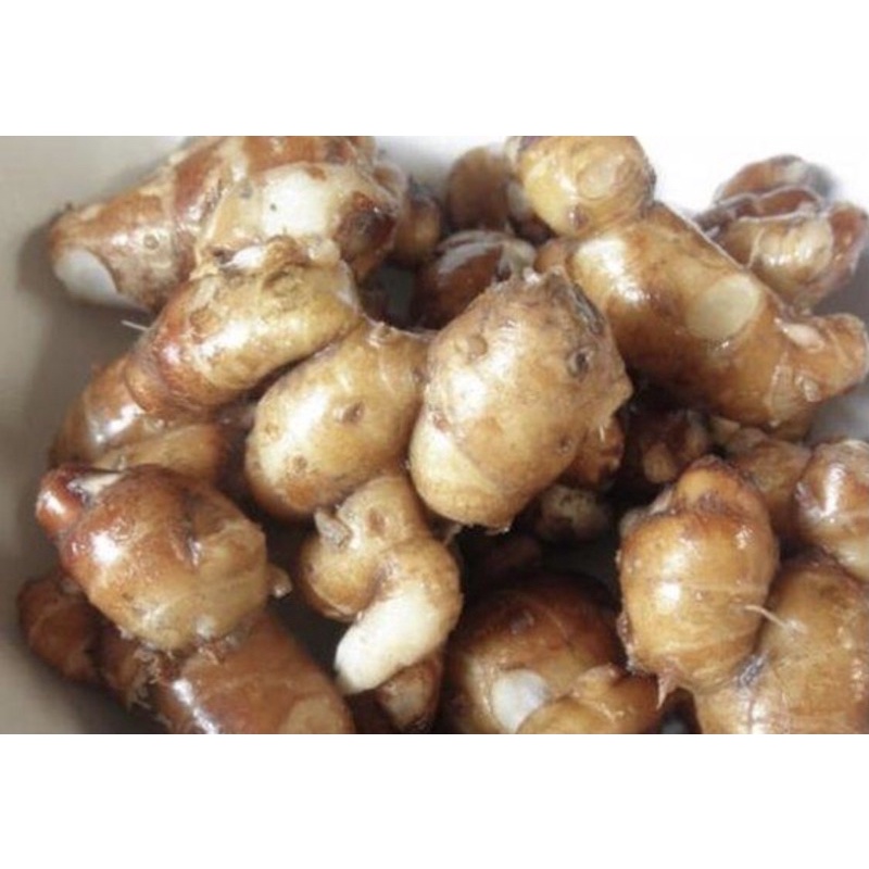 

KENCUR/1KG/KENCUR SEGAR/KENCUR MURAH