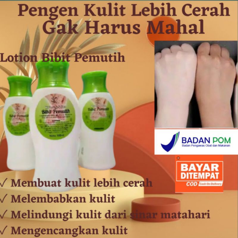 Hand Body Lotion Bibit Pemutih Kulit Badan Permanen Original Bpom Shopee Indonesia