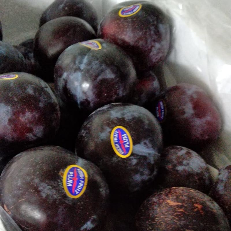 Khasiat buah plum hitam