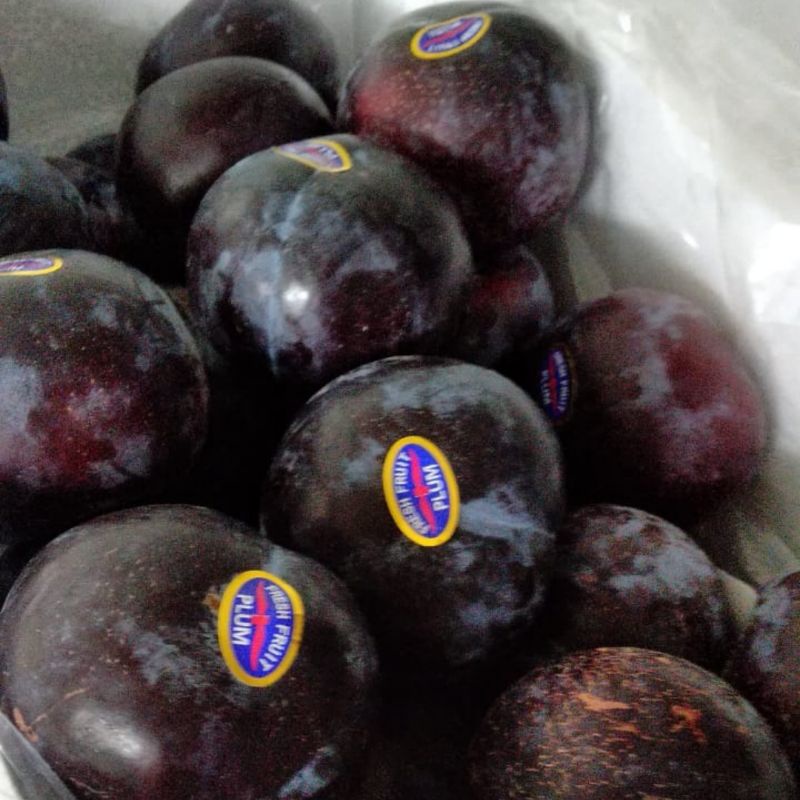 

Buah Plum Aussie 1kg Plum Segar Black Plum Buah Import Murah Buah Segar Bekasi Buah Murah