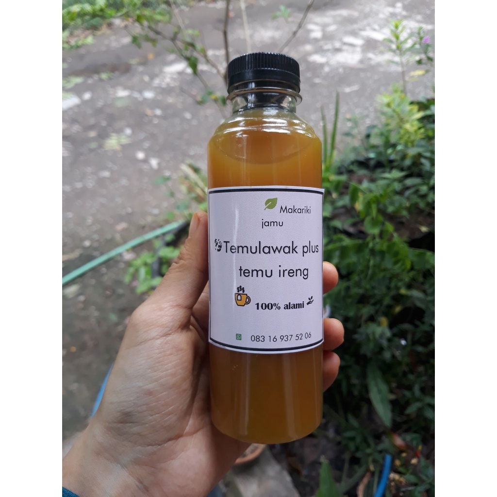 

jamu maag akut kronis - temulawak dan temu ireng