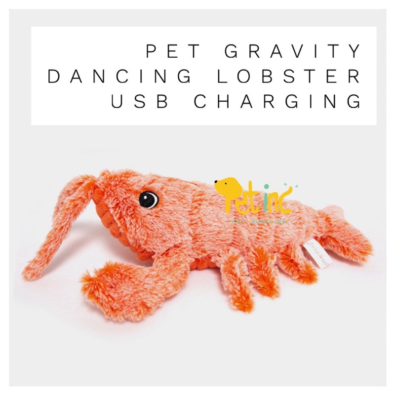 pet gravity dancing lobster