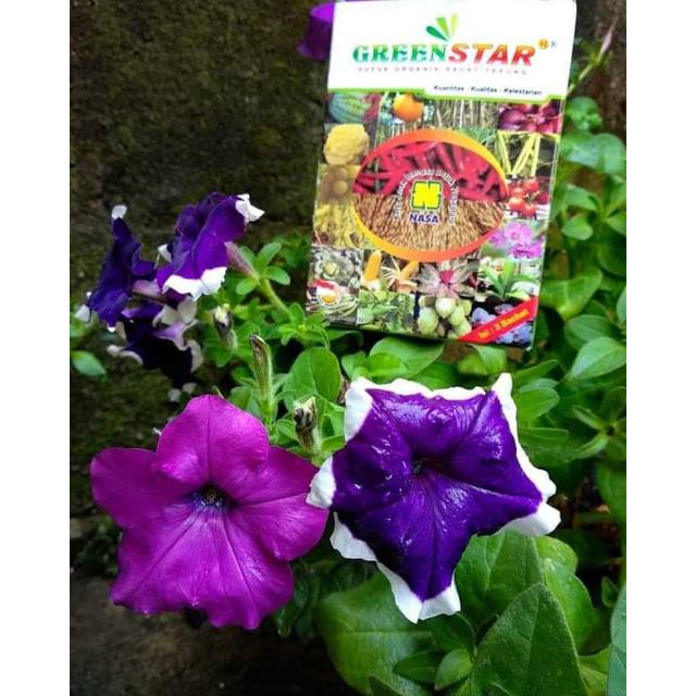 PUPUK GREEN STAR NASA - PUPUK BUAH - PUPUK BUNGA NASA