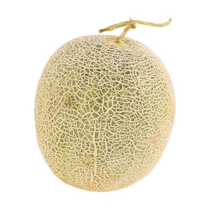 

Buah Melon Sky Rocket [1.6 - 2kg/1pc]