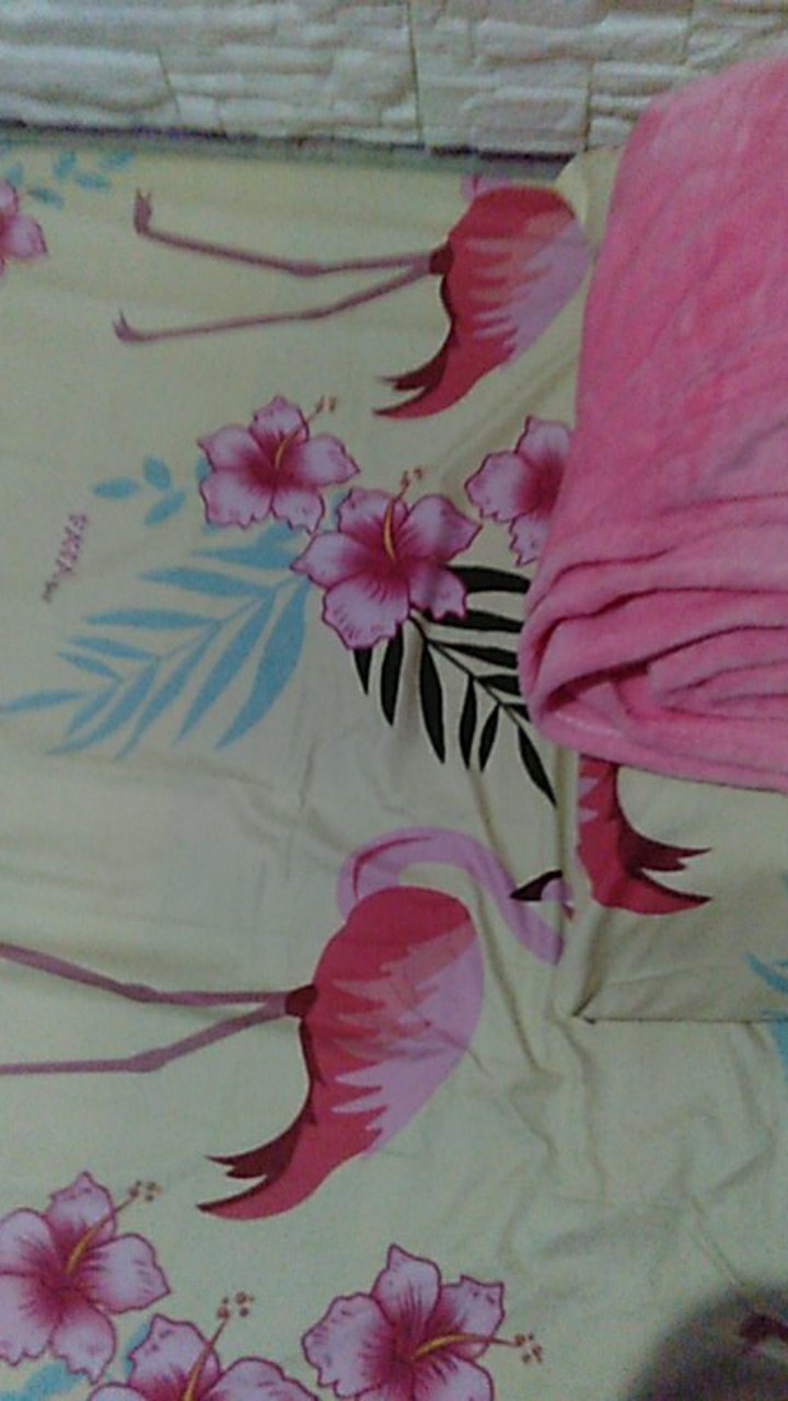 Sprei Fata Flamingo Pink 100x20