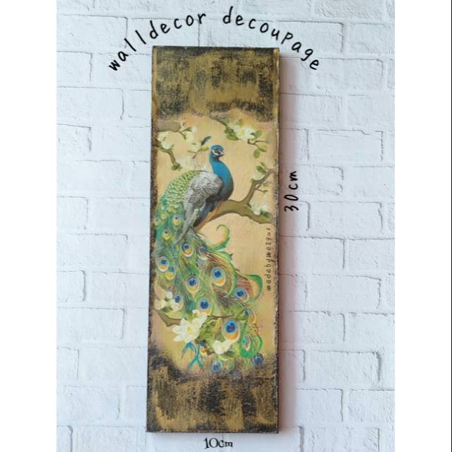 880+ Gambar Burung Merak Dari Stik HD Terbaru