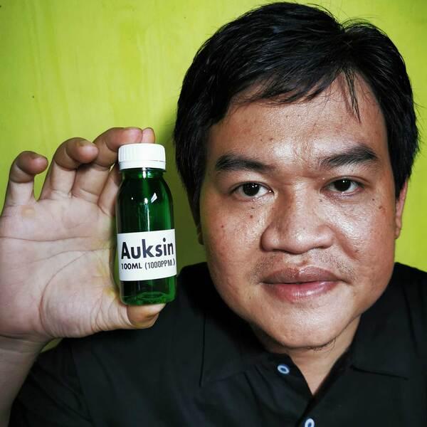 Hormon Tanaman Auksin 100ml Besar dan Panjangkan Akar Auxin IAA