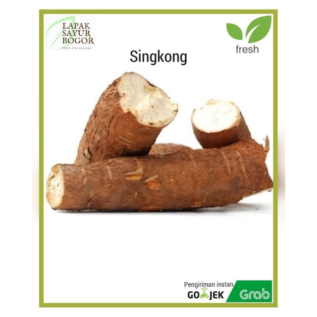

singkong mentah singkong goreng empuk lapak sayur bogor