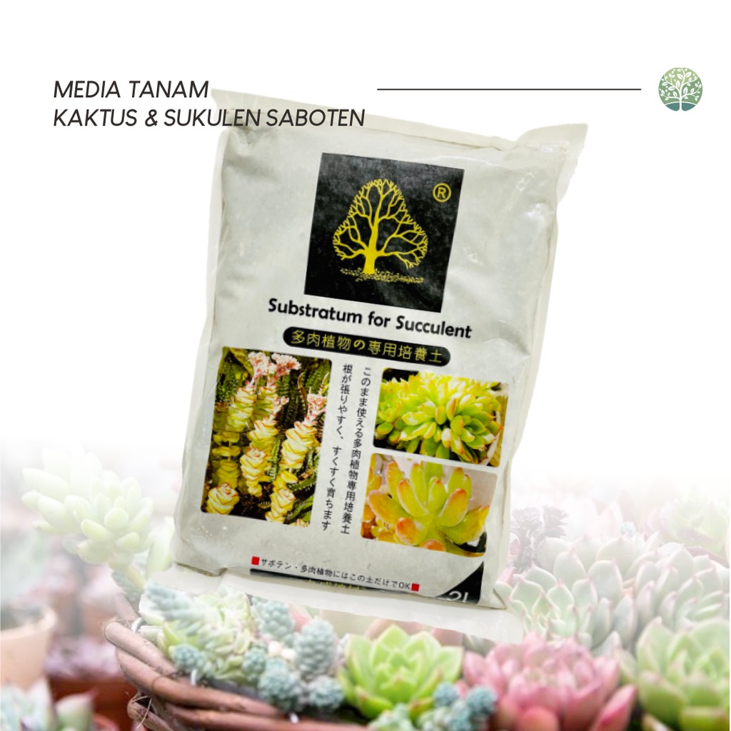 (1 PACK) Media Tanam SABOTEN Untuk Kaktus &amp; Sukulen - Lava Rock Pumice Akadama Pupuk - Volume 2 LITER - Kemasan Asli Import Jepang