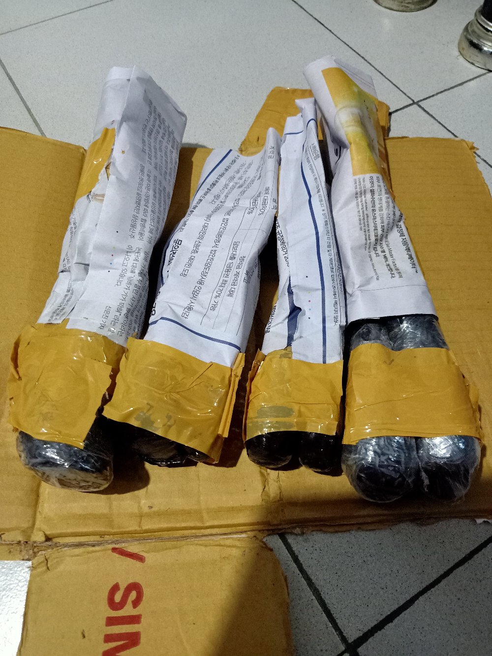 Bibit Bunga Wijaya Kusuma Merah Muda - Bunga Besar