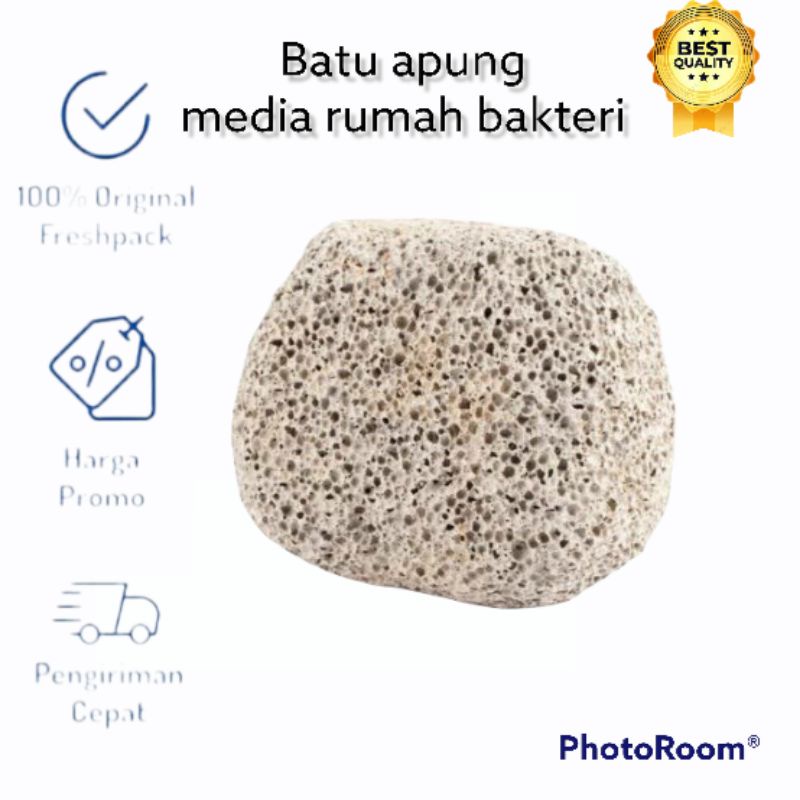 BATU APUNG 1KG 1 KG MEDIA FILTER AQUARIUM PULMICE