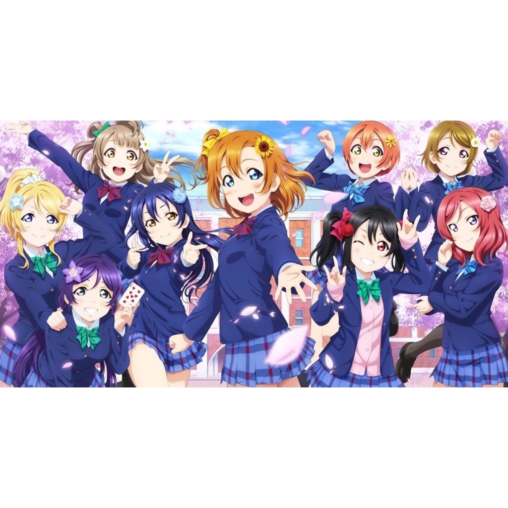 Love Live Skirt / Rok Cosplay Love Live! School Idol Project